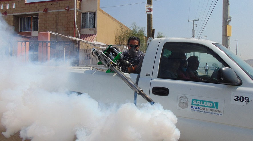 fumigation